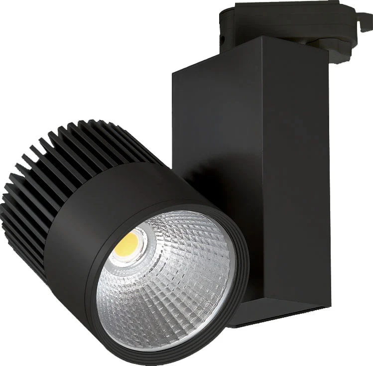 Railspot zwart D 10cm L 12cm 30W 4000K 38 graden